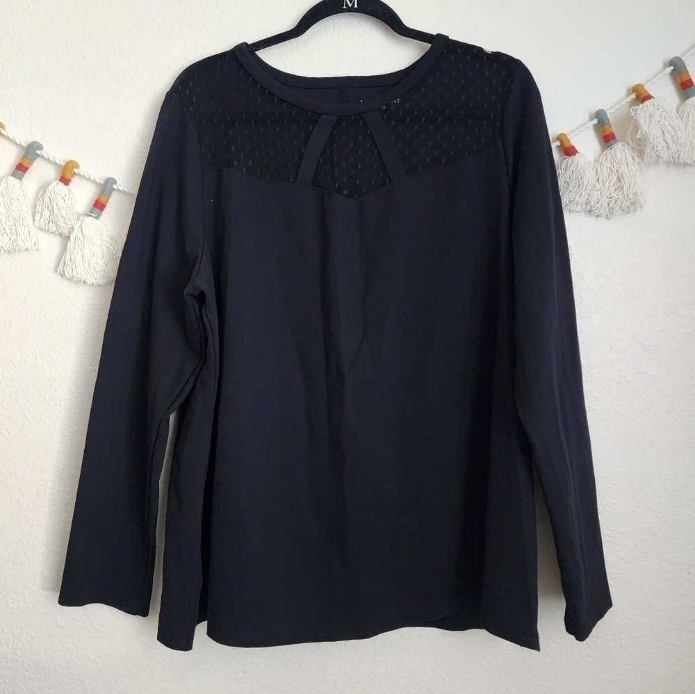Lane Bryant Sheer Swiss Dot Black Long Sleeve Top Business Casual Minimalist 18